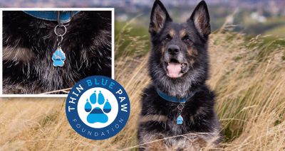 Charity launches 'Remembrance Paw' for police dogs